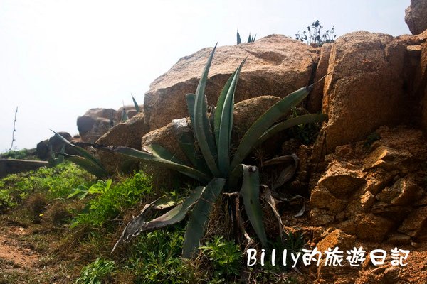 馬祖北竿戰爭和平紀念公園10.jpg