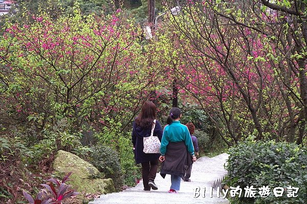 基隆紅淡山102.jpg