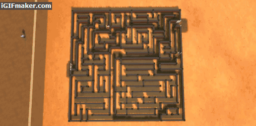 maze2.gif