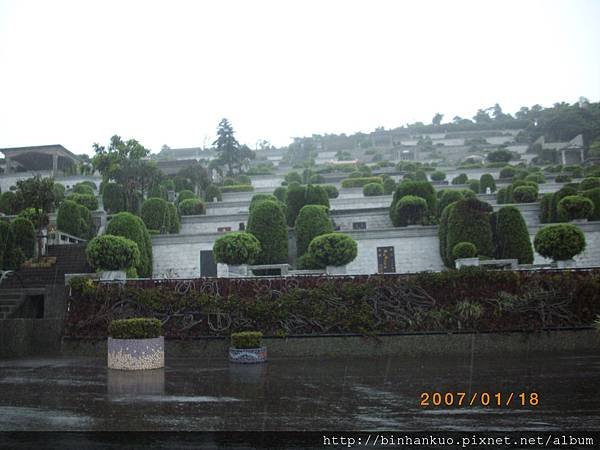 IMGP5356
