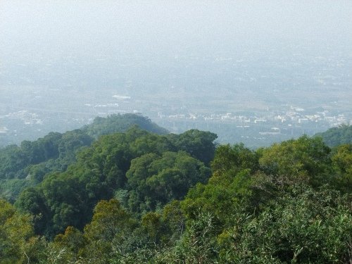 DSCF2337.jpg
