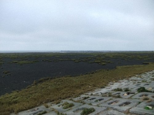 DSCF7318.jpg