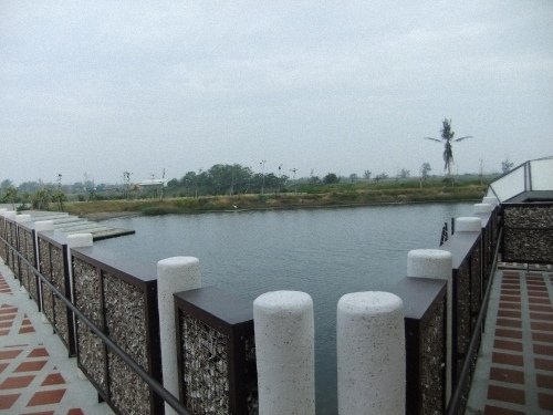 DSCF8445.jpg
