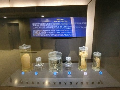 CIMG3845.jpg
