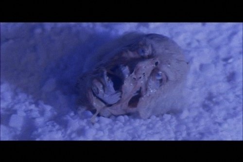 鬼哭神號1988 (7).jpg
