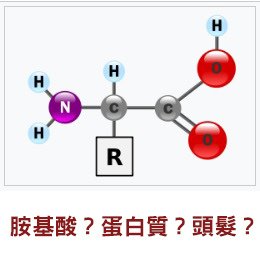 胺基酸.jpg