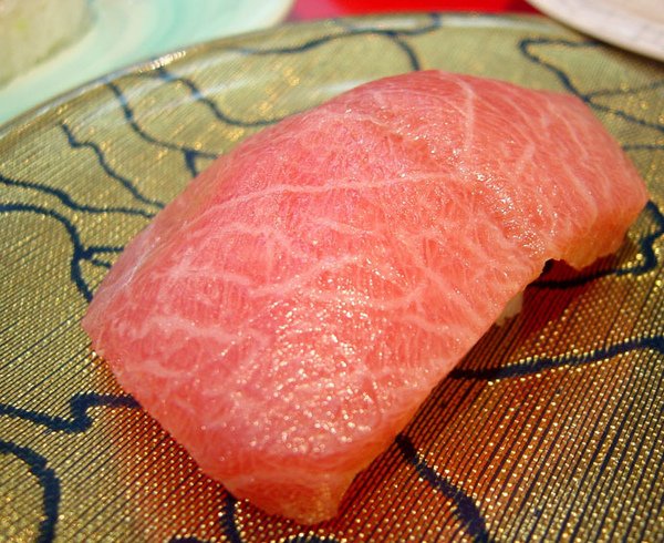 鮪魚腹