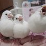 啊~~~(呵欠)