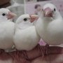 有發生什麼事嗎?