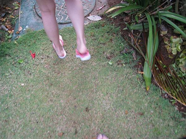 IMG_1287.JPG