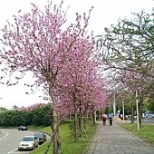 IMAG0235.jpg