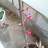 IMAG0240.jpg