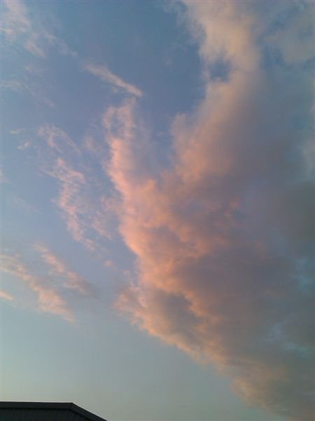 IMAG0037.jpg