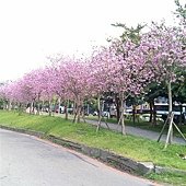 IMAG0233.jpg