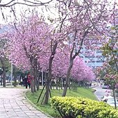 IMAG0236.jpg