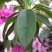 IMG_0894.JPG