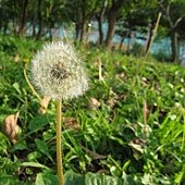 IMG_0914.JPG