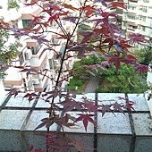 IMAG0250.jpg