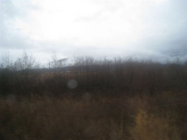 IMG_1500.JPG