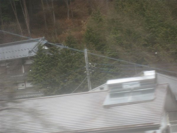 IMG_1505.JPG