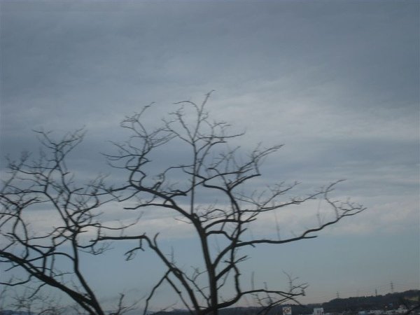 IMG_1525.JPG