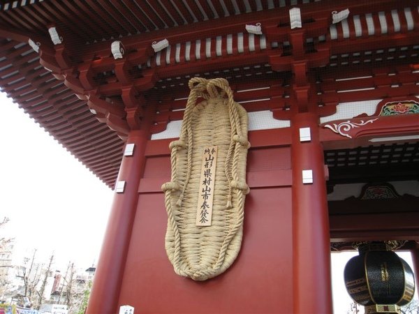 大草鞋.JPG