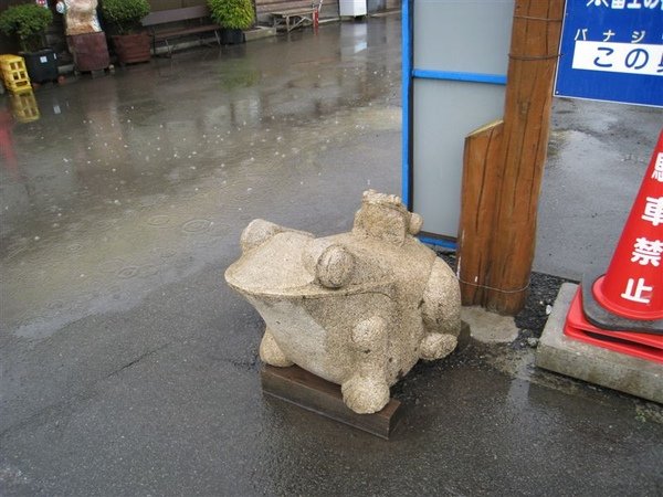青蛙--全歸來.JPG