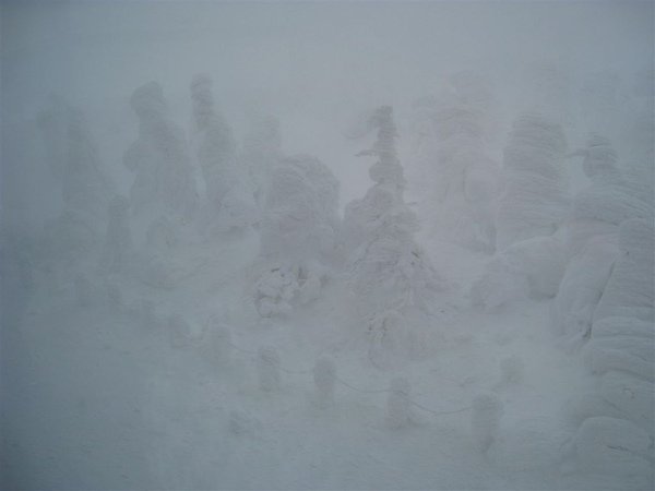 IMG_0639.JPG