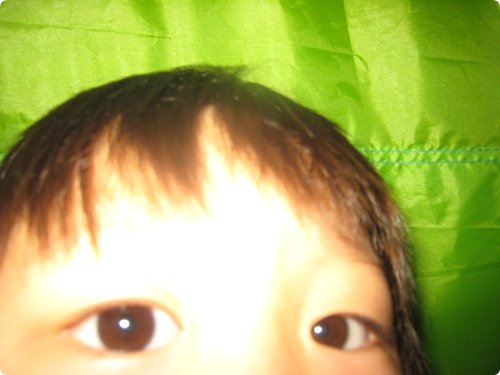 IMG_7386.JPG