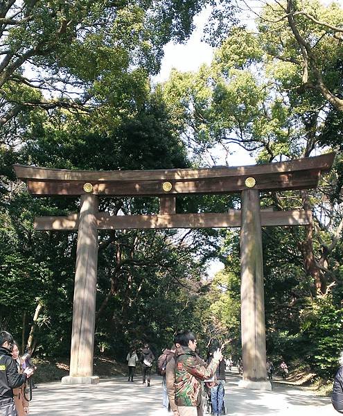 IMAG0384