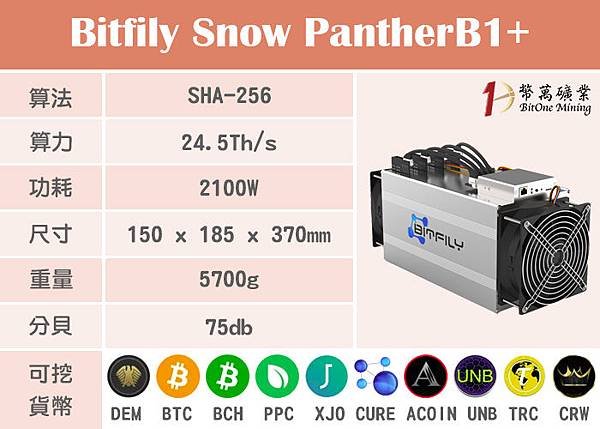 雪豹Snow-Panther-B1+.jpg