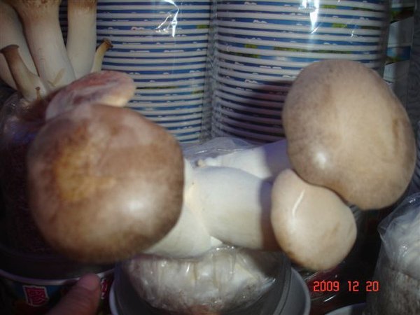 DSC03411.JPG