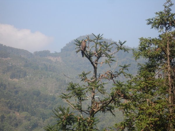 DSC03560.JPG