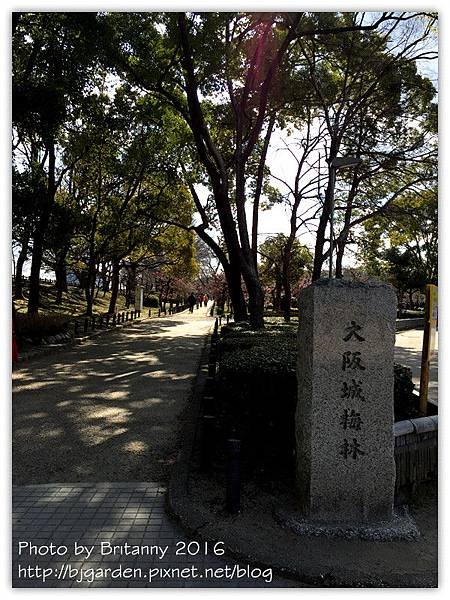 照片 1041_副本.jpg