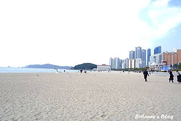 DSCF2927_副本.jpg