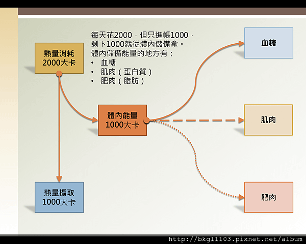 中暑的金額體內功能的量圖