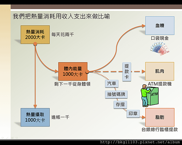 熱量消耗體內能量圖－比喻