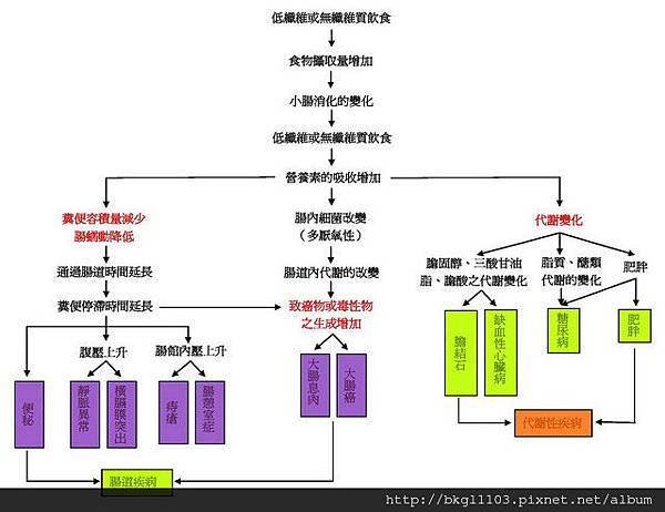 纖維與健康