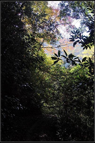 DSC_7013.jpg