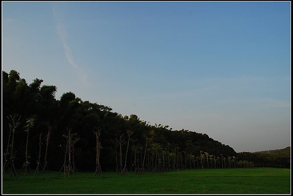 DSC_0480.jpg
