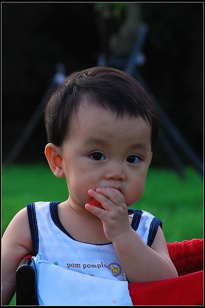 DSC_0449.jpg
