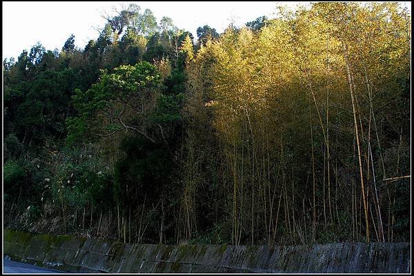 DSC_2591.jpg