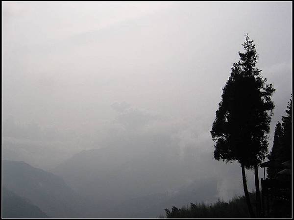 IMG_1737.jpg