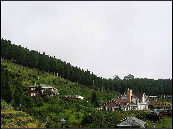 IMG_1739.jpg