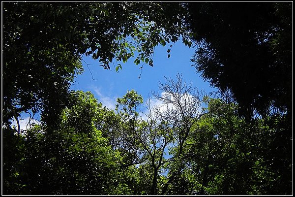 DSCN0259.jpg