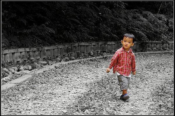 DSC_0046-1.jpg