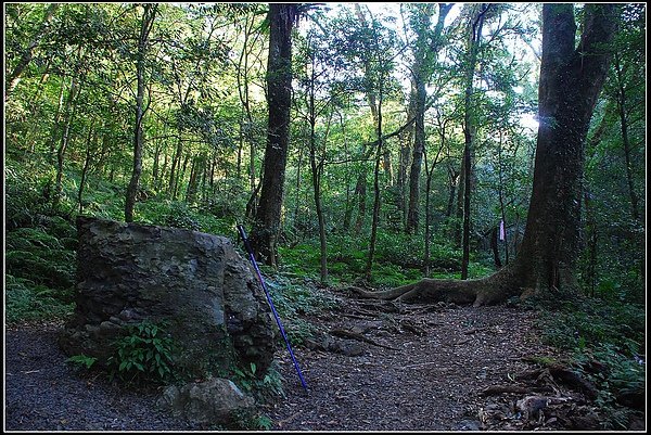 DSC_1247.jpg