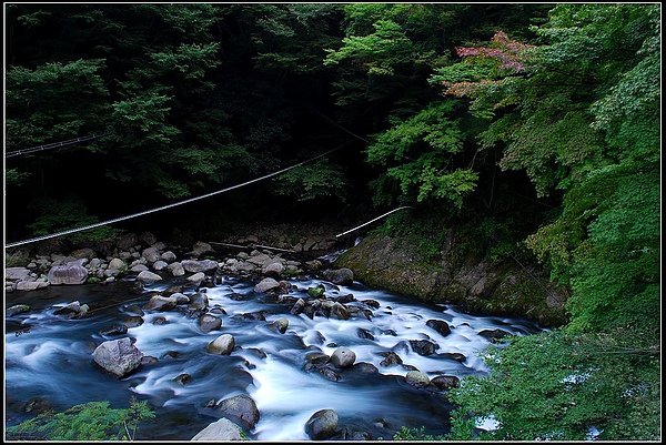DSC_0362.jpg