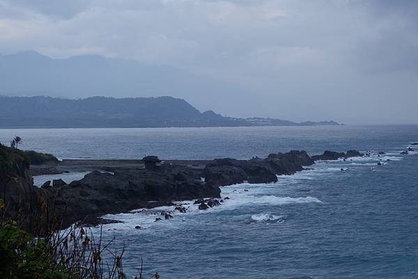 DSC09132 (Large).JPG