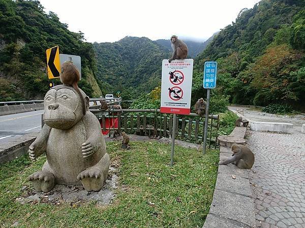 20171229_125523 (Large).jpg